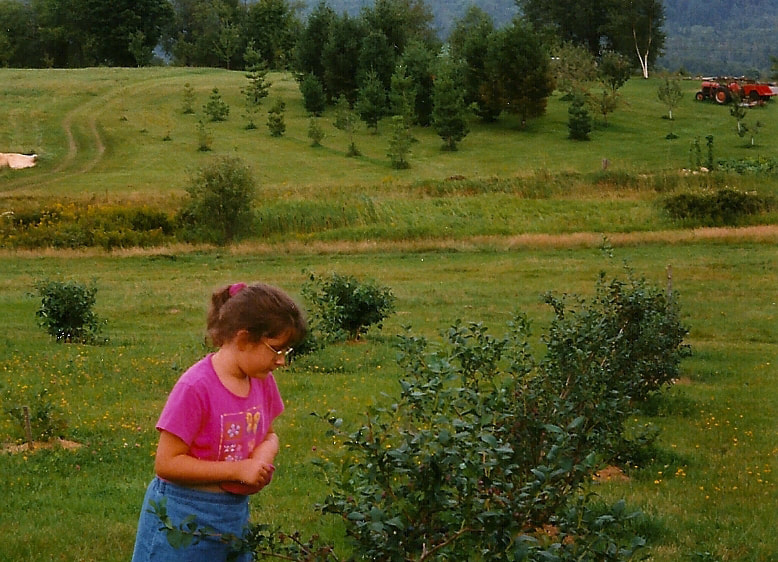 Picture